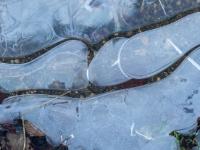 Ovale und geschwungene Eisstruktur in Pfütze